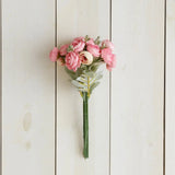 Mini Pink and Cream Ranunculus