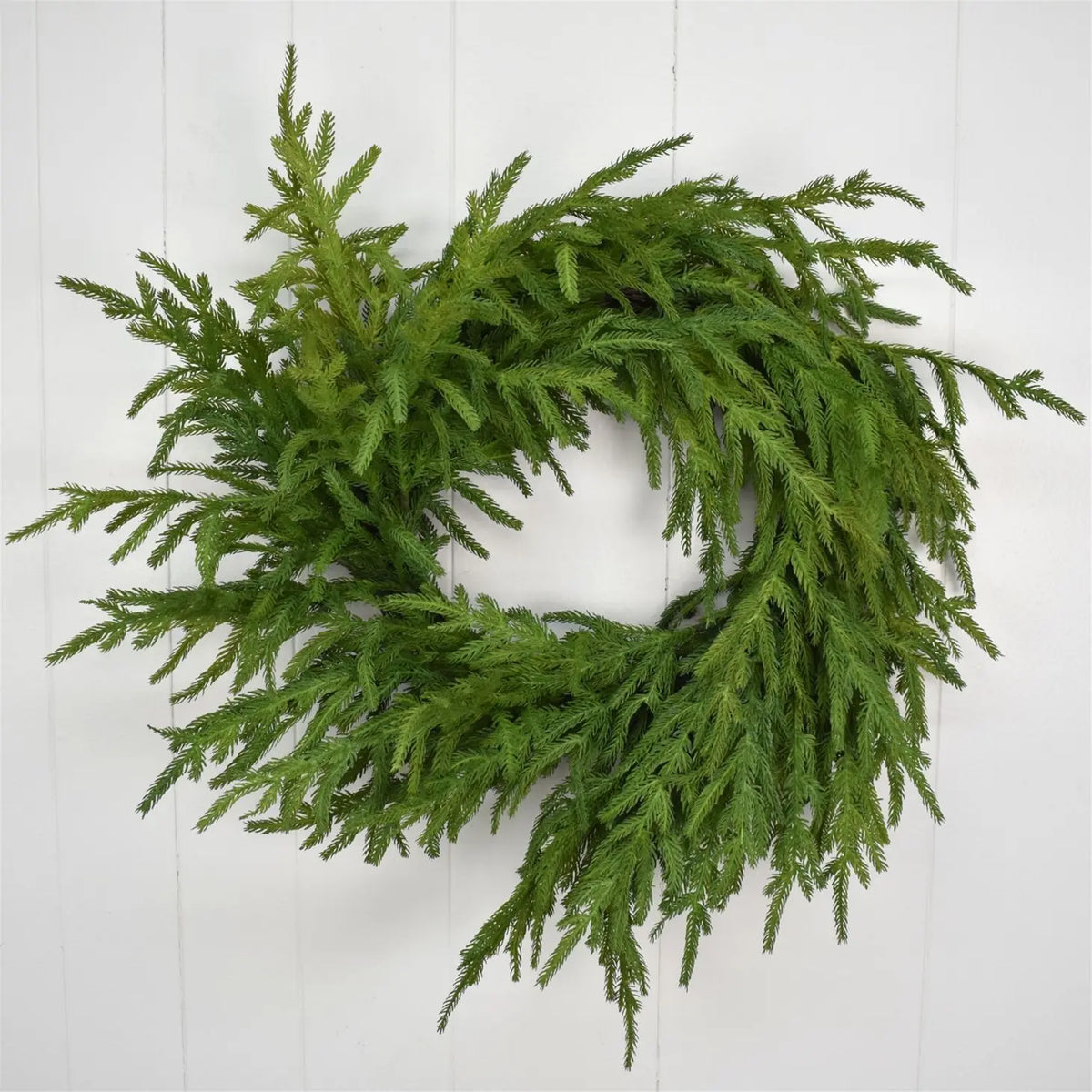 24” Natural Real Touch Norfolk Pine Wreath – Sugar N Milk Co